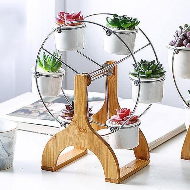 Wooden Carousel with Ceramic Succulent Planters